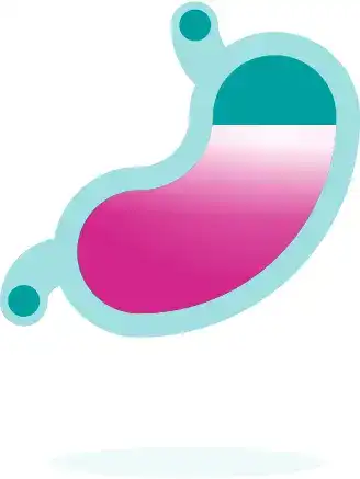 Stomach